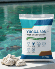 A base of High Quality Zeol