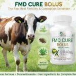 FMD CURE BOLUS