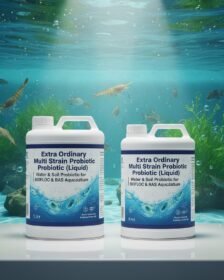 Extra Ordinary Multi Strain Probiotic (Liquid)