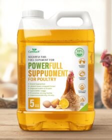 Best Supplement For Poultry Health With Vit.D3