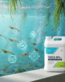 The Scientific Method to reduce Pound Pollution