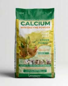 Calcium with Enzyme Powder