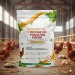 Feed additive to increase aes egg production Powder