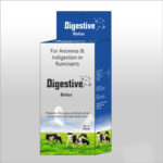 Digestie Bolus