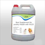 Best Supplement For Poultry Health With Vit.D3