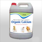 Organic Calcium